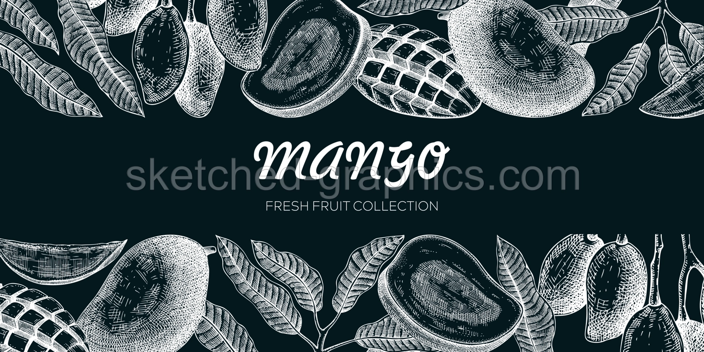 Summer background. Mango fruit sketch on chalkboard, hand-drawn vector illustration. Tropical plant banner, juice packaging, print design. NOT AI generated Illustration